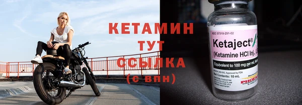 стаф Гусев
