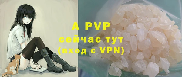стаф Гусев