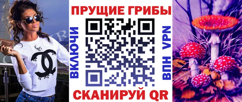 Купить где  Окуловка  Псилоцибиновые грибы GOLDEN TEACHER 